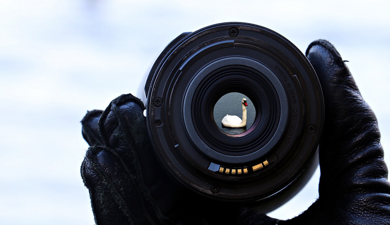 discover the power of focus in achieving your goals. unlock your potential by learning strategies to enhance concentration, minimize distractions, and boost productivity. embrace a focused mindset for success in personal and professional life.
